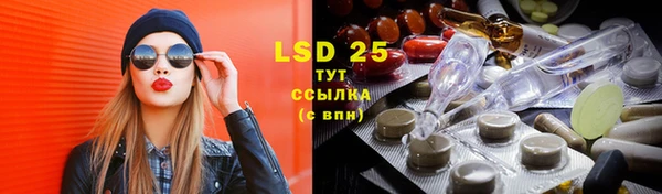 стафф Богданович