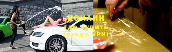стафф Богданович