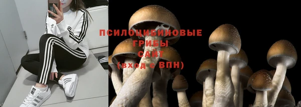 герыч Богородск