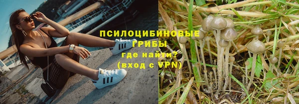 СК Богородицк