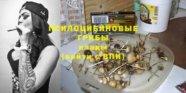 СК Богородицк