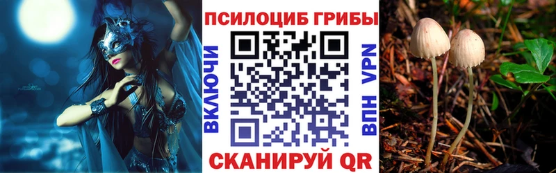 Псилоцибиновые грибы ЛСД  Острогожск 